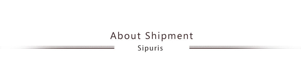 Collier Prénom Personnalisé Doré - Choker Acier Inoxydable Femme Homme